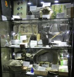 Exhibit of items at WWII Museum
